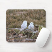 Snowy-Eulen-Paare Mousepad (Mit Mouse)