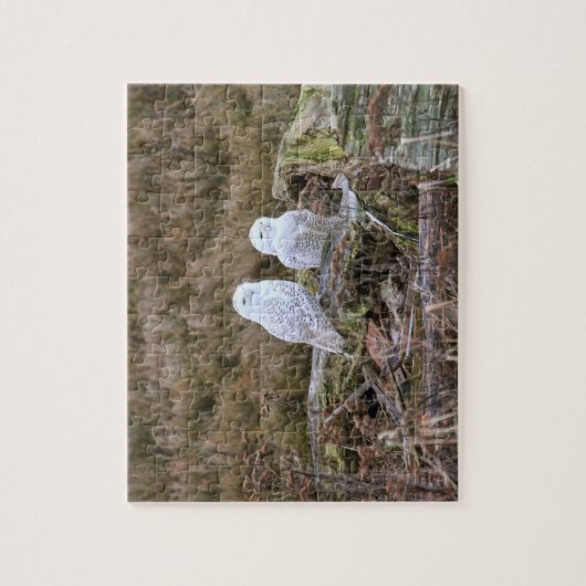 Snowy-Eulen-Paare Puzzle (Vertikal)