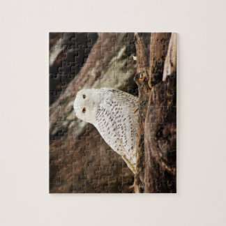 Snowy-Eulen-Puzzlespiel Puzzle