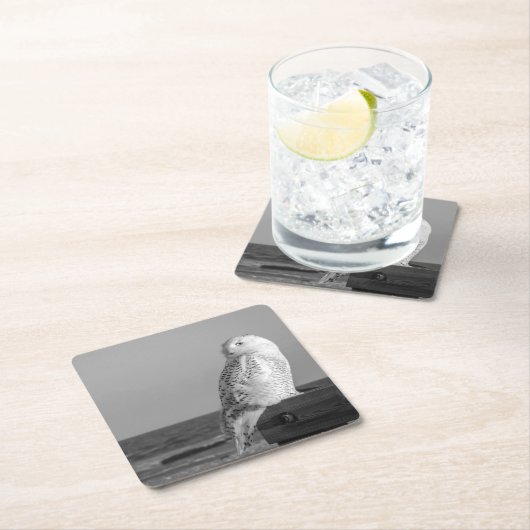 Snowy-Eulen-Untersetzer Rechteckiger Pappuntersetzer (Vor Ort)