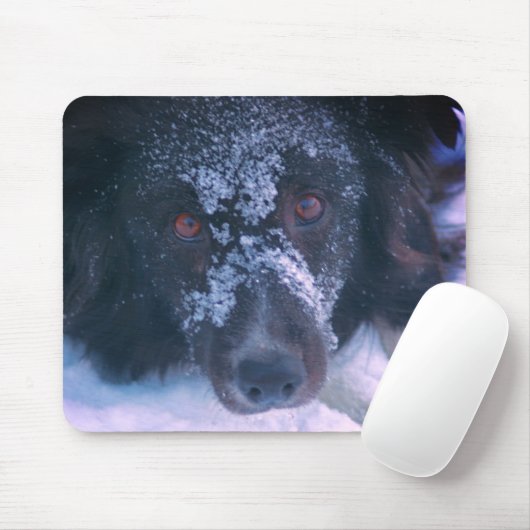 Snowy Faced Border Collie Dog Niedlich Mousepad (Mit Mouse)