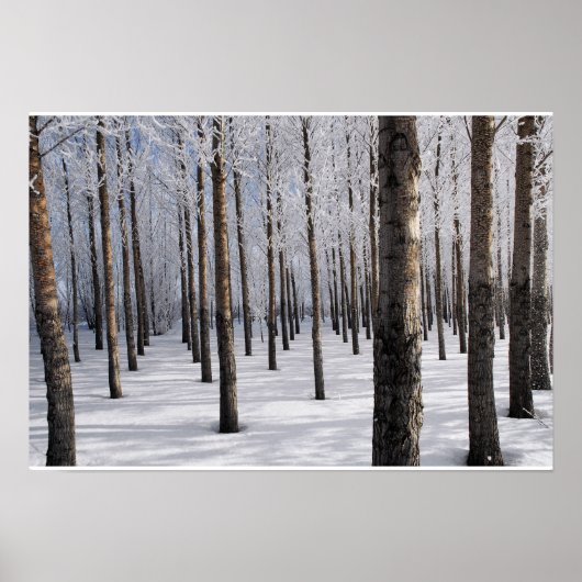 Snowy Fairy Tale Forest Poster (Vorne)