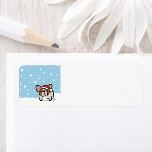 Snowy Fawn Pied Frenchie (Insitu)