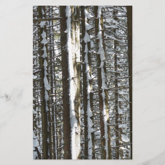 Snowy Fir Tree (Vorderseite)