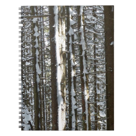 Snowy Fir Tree Notizblock (Vorderseite)