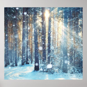 Snowy Forest Frosty Winter Szene Poster