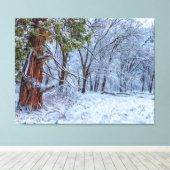 Snowy Forest Scene Leinwanddruck (Insitu (Holzboden))