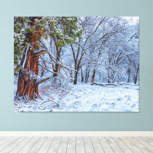 Snowy Forest Scene Leinwanddruck (Insitu (Holzboden))