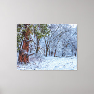 Snowy Forest Scene Leinwanddruck