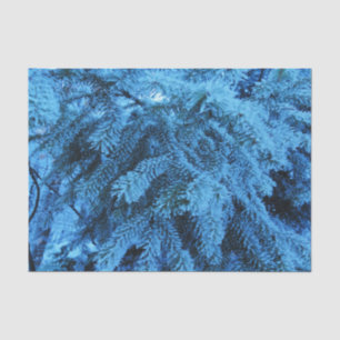 Snowy Forest Spruce Seidenpapier