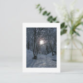 Snowy Forest Trail Postkarte (Stehend Vorderseite)