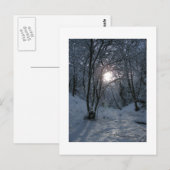 Snowy Forest Trail Postkarte (Vorne/Hinten)