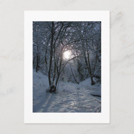 Snowy Forest Trail Postkarte (Vorderseite)