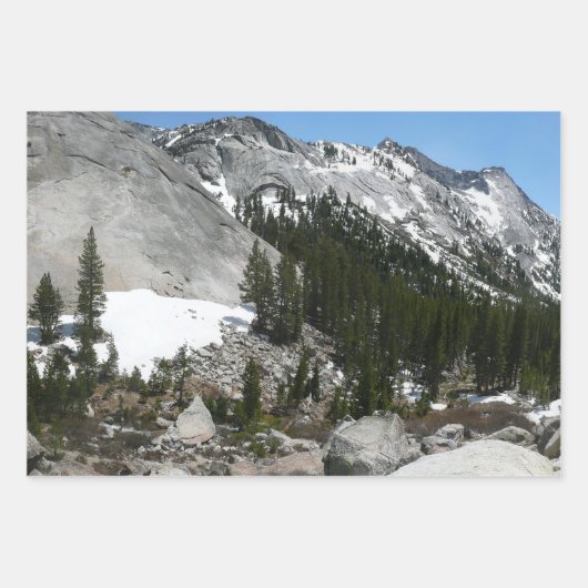 Snowy Granite Domes II Yosemite Nationalpark Geschenkpapier Set (Vorderseite 2)