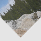 Snowy Granite Domes II Yosemite Nationalpark Seidenpapier (Detail)