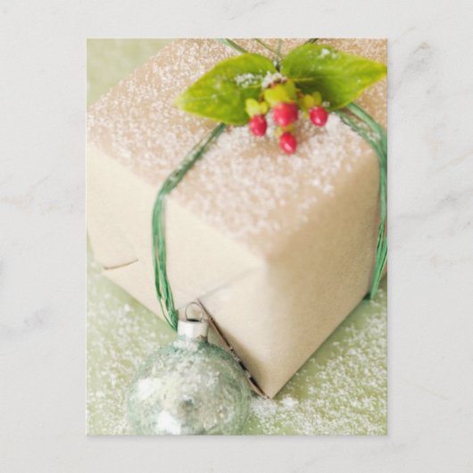 Snowy Grußkarten und Aufkleber Postkarte (Vorderseite)