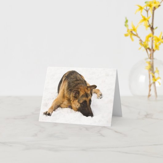 Snowy GSD - Karte (Gelbe Blume)