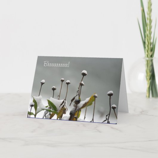 Snowy hält Weihnachtskarte auf Feiertagskarte (Vorderseite)