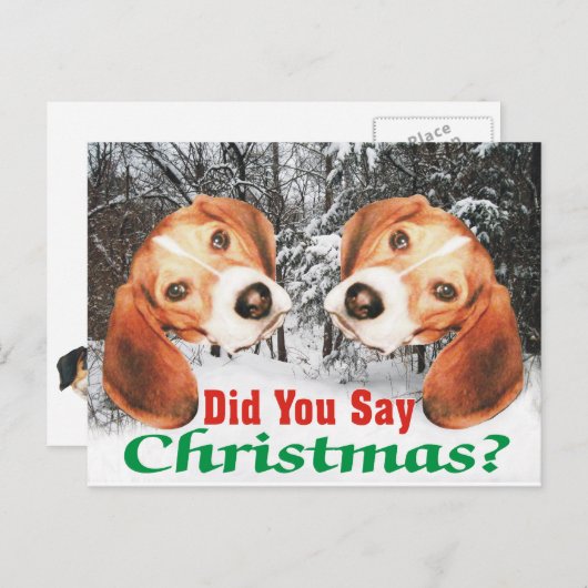 Snowy hast du Weihnachten gesagt? Beagle-Postkarte (Vorne/Hinten)