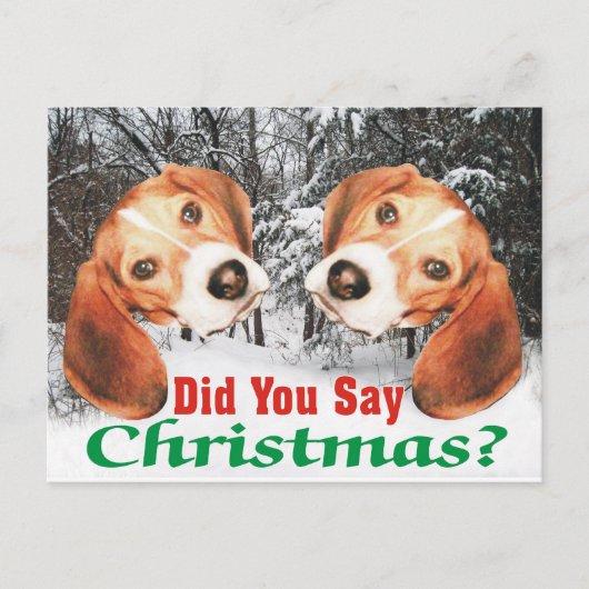 Snowy hast du Weihnachten gesagt? Beagle-Postkarte (Vorderseite)