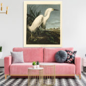 Snowy Heron (Egret) - Audubons Vögel von Amerika Leinwanddruck (Insitu (Wohnzimmer))