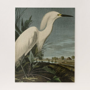 Snowy Heron (Egret) - Audubons Vögel von Amerika Puzzle