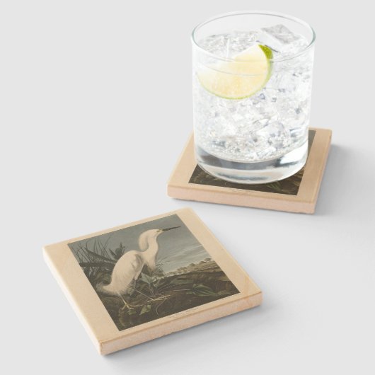 Snowy Heron (Egret) - Audubons Vögel von Amerika Steinuntersetzer (Seitenansicht)