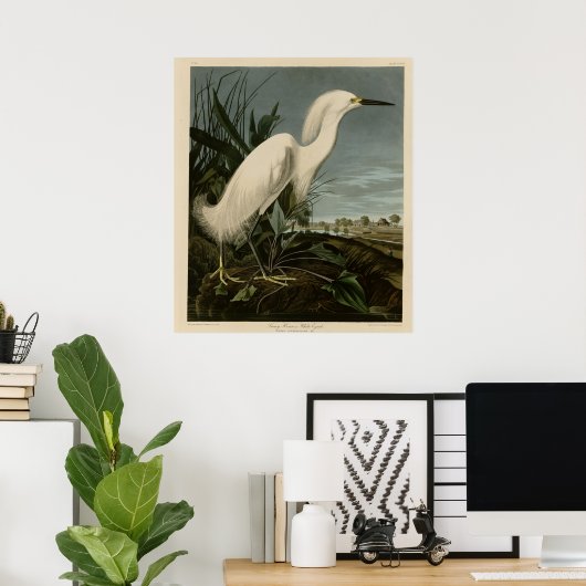 Snowy Heron oder White Egret Poster (Heimbüro)
