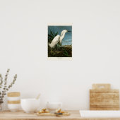 Snowy Heron White Egret Audubon Birds of America Poster (Küche)