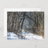 Snowy-Holz-Postkarte Postkarte (Vorne/Hinten)