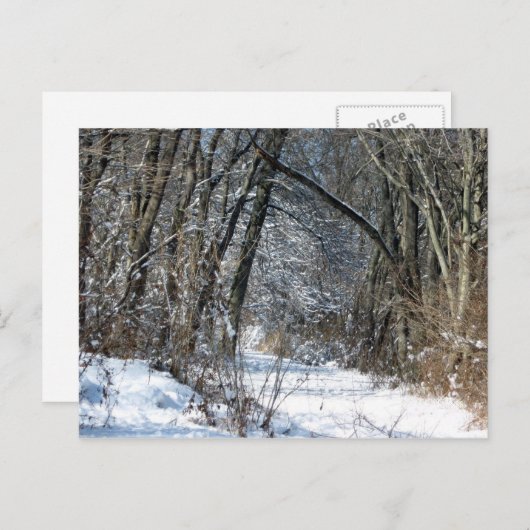 Snowy-Holz-Postkarte Postkarte (Vorne/Hinten)