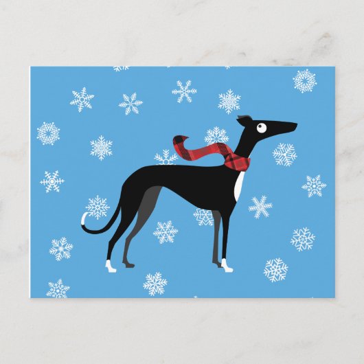 Snowy Hound Postkarte (Vorderseite)