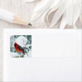 Snowy Kardinal (Insitu)