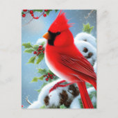 Snowy Kardinal Bird Graphic Postkarte (Vorderseite)