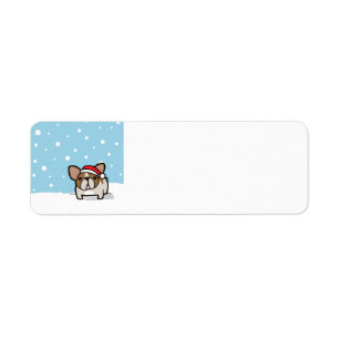 Snowy-Kitz geschecktes Frenchie