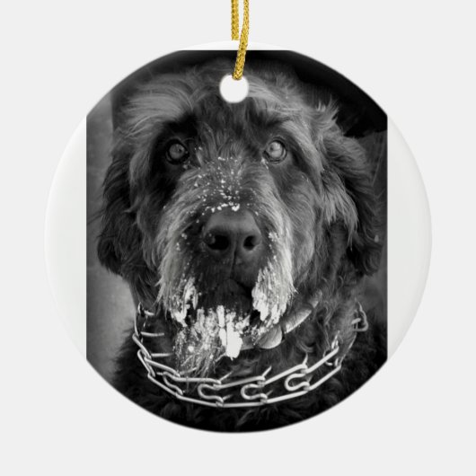Snowy Labradoodle Keramikornament (Vorne)
