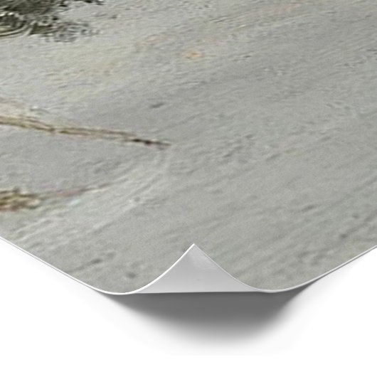 Snowy Landscape Poster (Ecke)