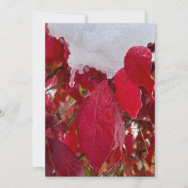 Snowy Leaves Feiertagskarte