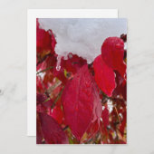 Snowy Leaves Feiertagskarte (Vorne/Hinten)