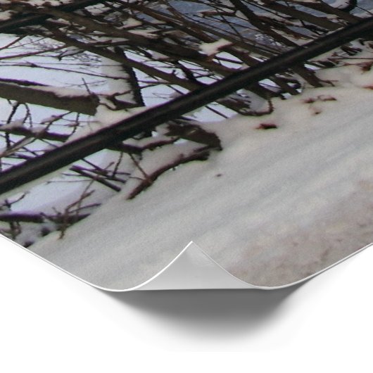 Snowy Light Scene Print Poster (Ecke)