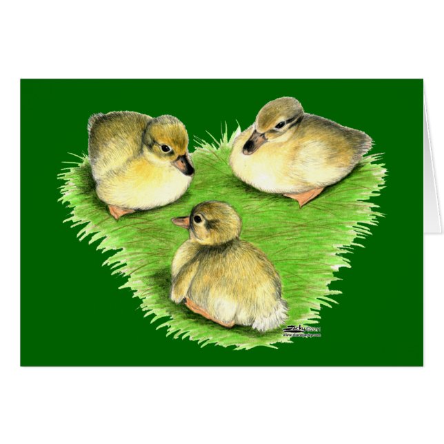 Snowy Mallard Ducklings (Vorderseite (Horizontal))