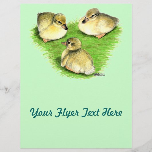 Snowy Mallard Ducklings Flyer (Vorne)