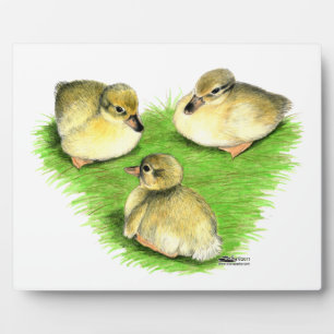 Snowy Mallard Ducklings Fotoplatte