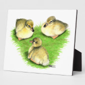 Snowy Mallard Ducklings Fotoplatte (Seite)