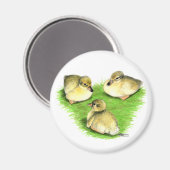 Snowy Mallard Ducklings Magnet (Vorderseite/Rückseite)