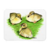 Snowy Mallard Ducklings Magnet (Horizontal)