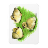 Snowy Mallard Ducklings Magnet (Vertikal)