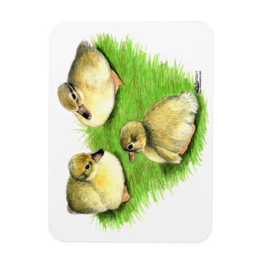 Snowy Mallard Ducklings Magnet (Vertikal)