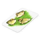 Snowy Mallard Ducklings Magnet (Linke Seite)