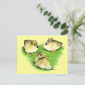 Snowy Mallard Ducklings Postkarte (Stehend Vorderseite)